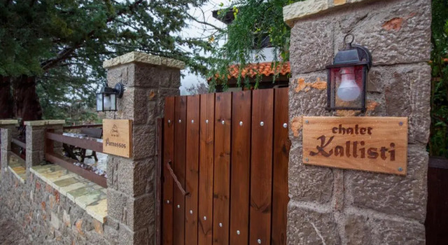 Шале с 2 комнатами Dandy Villas Agoriani - Chalet Erato - Fireplace