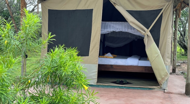 Номер Luxury Eco Mara Tented Camp
