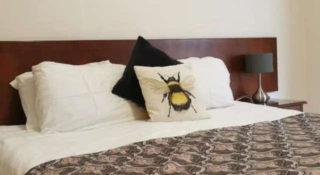 Номер Standard Three Rivers Hotel