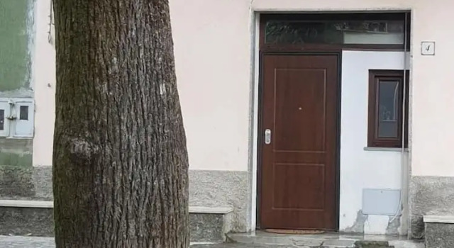 Casa Nostra