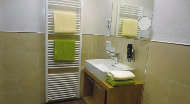 Двухместный номер Standard Hotel Alp Inn - Chiemgaukarte inclusive