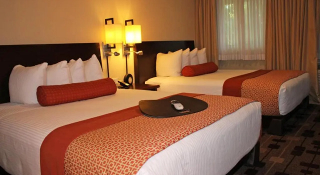 Люкс с 2 комнатами The Zen Hotel Palo Alto