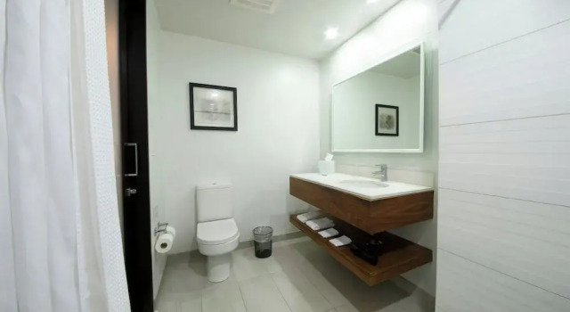 Двухместный номер Deluxe Four Points by Sheraton San Jose Sabana