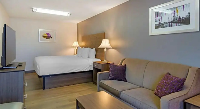 Четырёхместный люкс Best Western Plus South Hill Inn