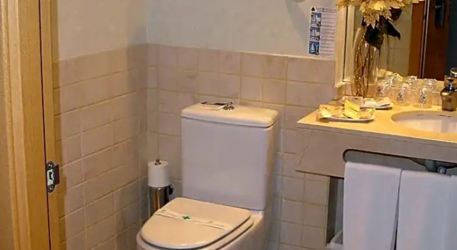 Номер Standard Hotel Rober Palas