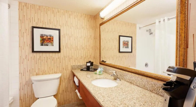 Номер Standard Holiday Inn Cincinnati Airport by IHG