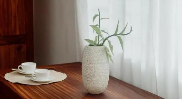Номер Standard Paje Home