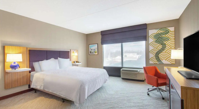 Номер Standard Hampton Inn & Suites Albany-Airport