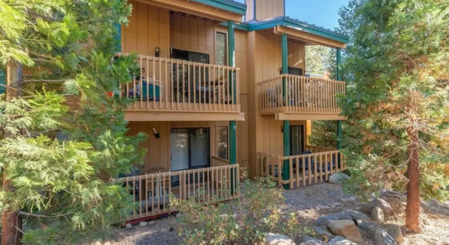 Regency Way Criterion 40 - Spruce