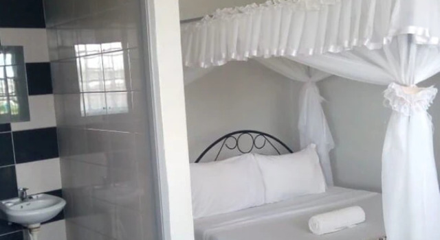 Standard huone Puya Lodge