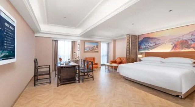 Люкс Business Vienna Hotel (Guangzhou Fangcun Huadiwan Subway Station Hotel)