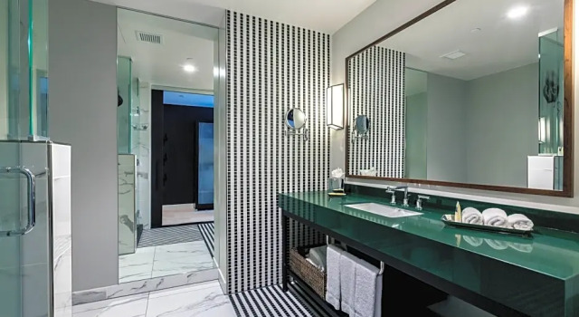 Двухместный номер Premium Hotel Indigo Los Angeles Downtown by IHG