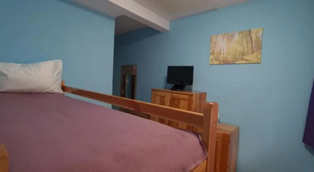 Номер Standard Pensiunea Aurora - Great hostel Voineasa