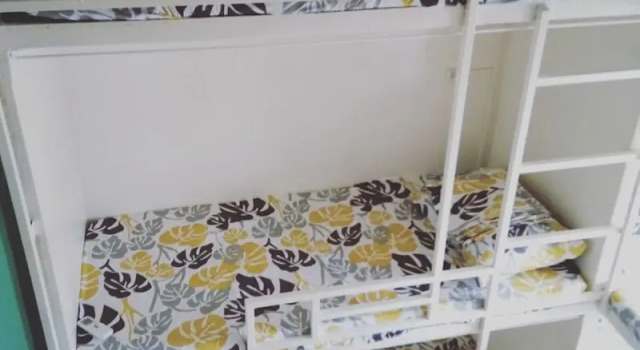 Кровать в общем номере Bee-Force Backpackers - Hostel