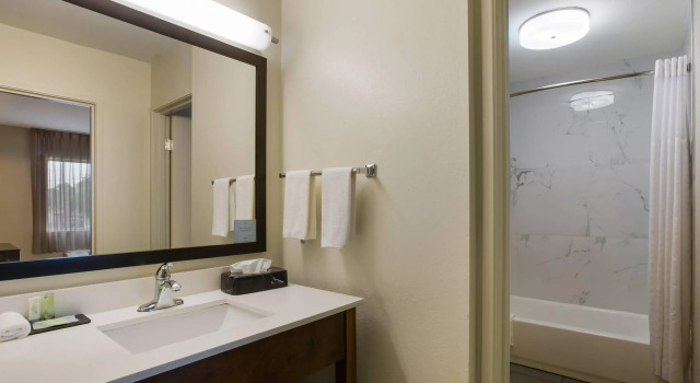 Двухместный люкс Sleep Inn Savannah Midtown