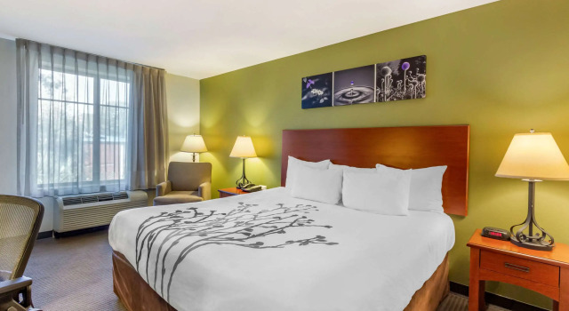 Двухместный номер Standard Sleep Inn & Suites Jacksonville West