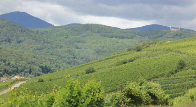 Dubleks daire Le Bacchus