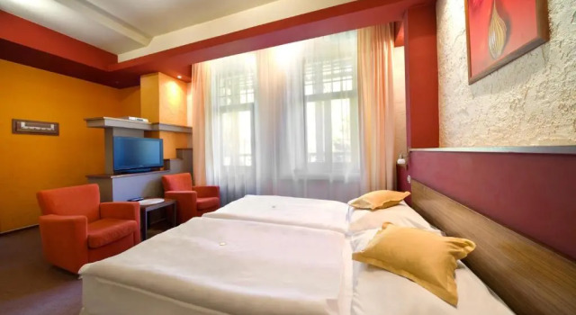 Двухместный номер Standard Spa & Wellness Hotel St. Moritz