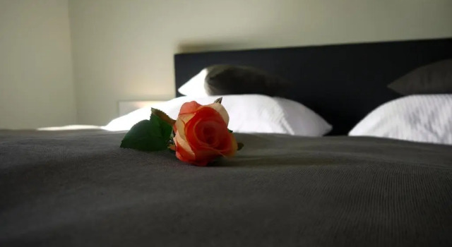 Lutz Motel, Забронировать Мотель Борн Падерборн