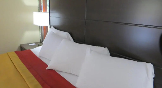 Номер Standard Muir Woods Lodge