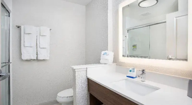 Люкс Standard Holiday Inn Express & Suites - Lexington W - Versailles by IHG