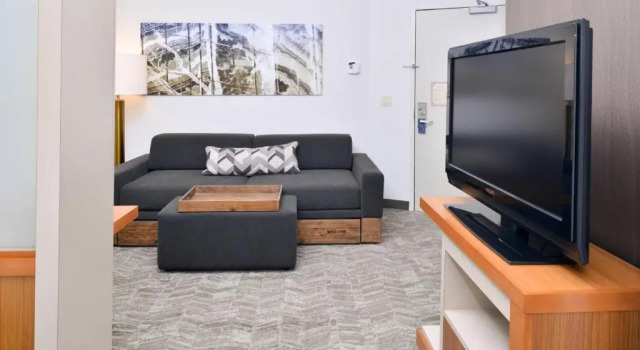 Люкс SpringHill Suites Ashburn Dulles North