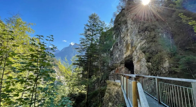 Апартаменты Deluxe Suite Home Mittenwald