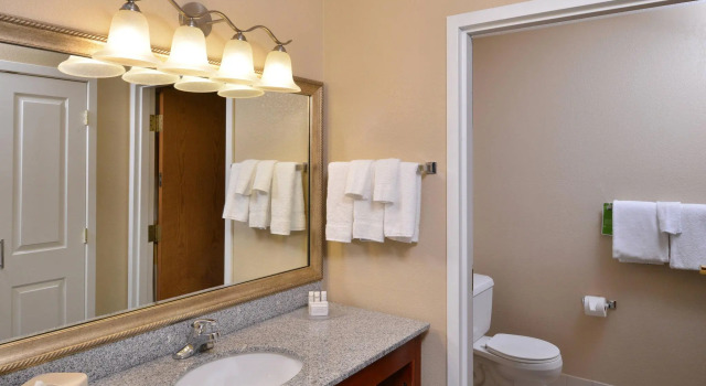 Двухместный люкс c 1 комнатой TownePlace Suites Detroit Warren