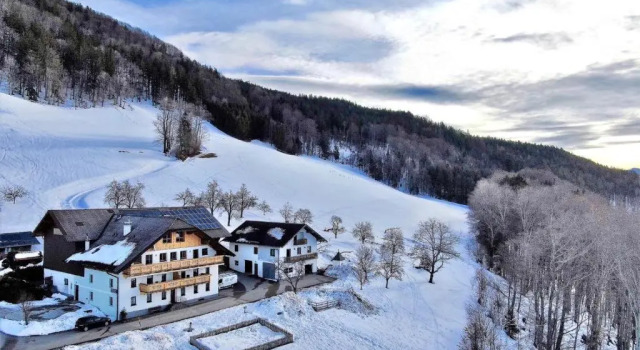 Апартаменты Panoramahof Manzberg