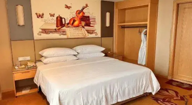 Люкс Vienna International Hotel (Bama)