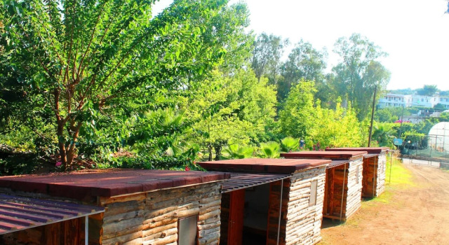 Bungalow Medusa Camping