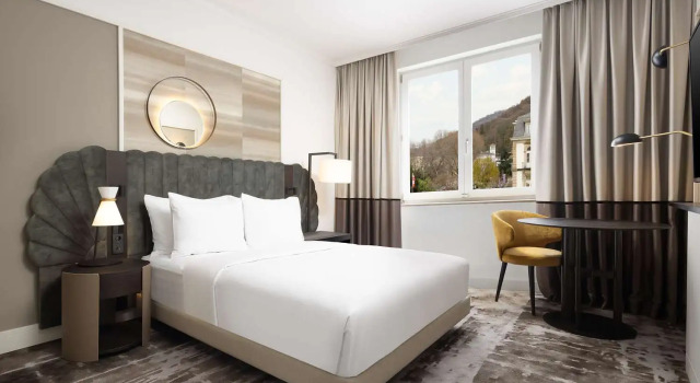 Двухместный номер Standard Hilton Heidelberg