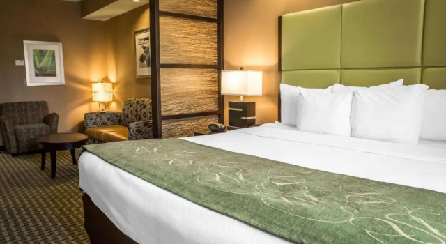 Люкс Comfort Suites New Bern near Cherry Point