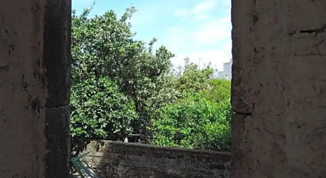 La Casa nel Cortile, Забронировать Отель Отели Вико-Экуенсе с парковкой, рядом с Железнодорожный вокзал Сеяно компании Circumvesuviana, Парковка