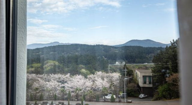 Люкс Premium New Korea Resort