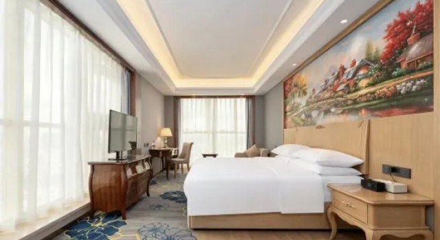 Люкс Business Vienna International Hotel(Lecong Center Branch)