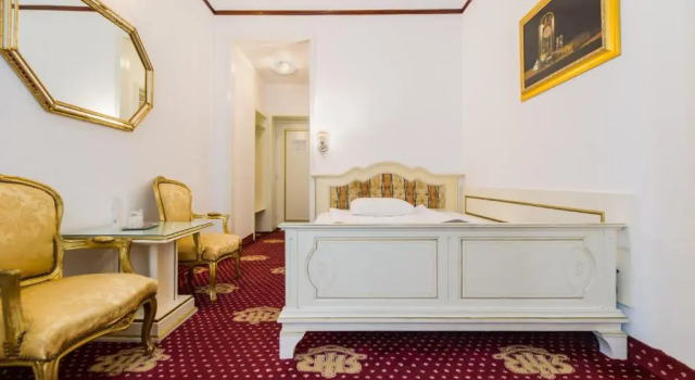 Одноместный номер Standard Hotel Imparatul Romanilor Hotel & SPA