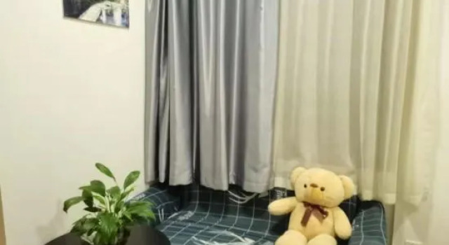 Puruo International Serviced Apartment, Prenota Appartamento Nanchino Jiangsu