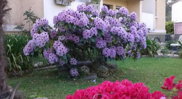 Les Floralies bis, Забронировать Апартаменты/квартира Отели Pyrénées-Atlantiques с парковкой, Парковка