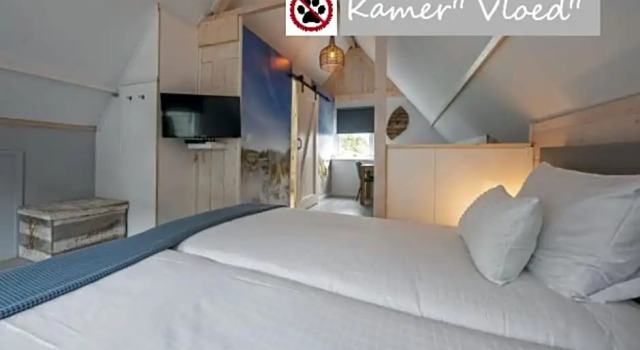 Zilt Texel, Reserva ahora Hotel Hoteles en De Cocksdorp con desayuno, Desayunos