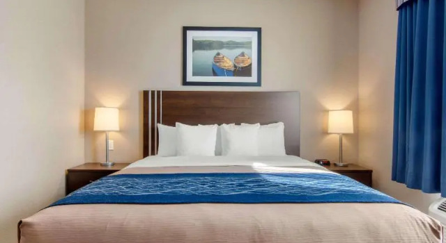 Номер Standard Comfort Inn & Suites