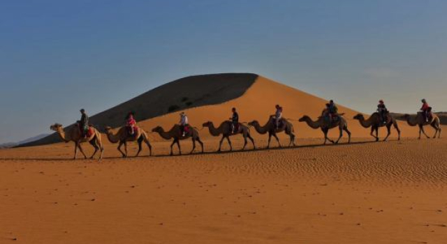 Shapotou Xingyue international camping base
