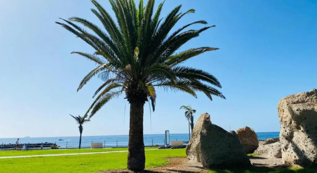 220 TROPICAL DUQUE Paradise by Sunkeyrents, Prenota Hotel Hotel a Tenerife con piscina, Piscina