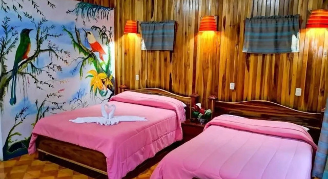 Семейный номер Standard Monteverde Villa Lodge
