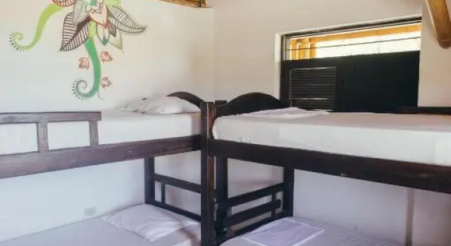 Cama en dormitorio compartido La Tortuga Hostel