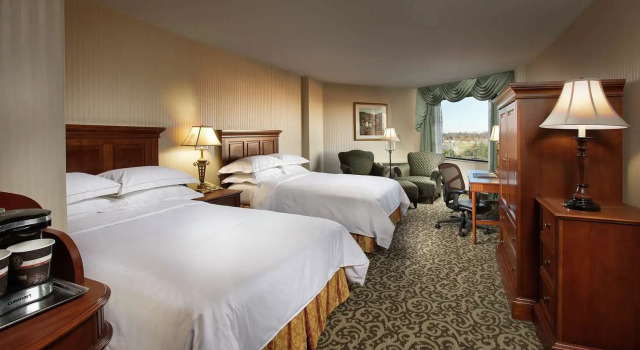 Четырёхместный номер Deluxe DoubleTree by Hilton Lisle Naperville