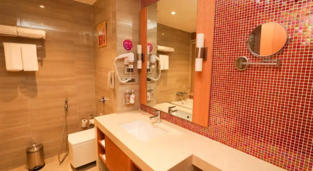 Двухместный номер Standard Regenta Central Udaipur, Court Circle