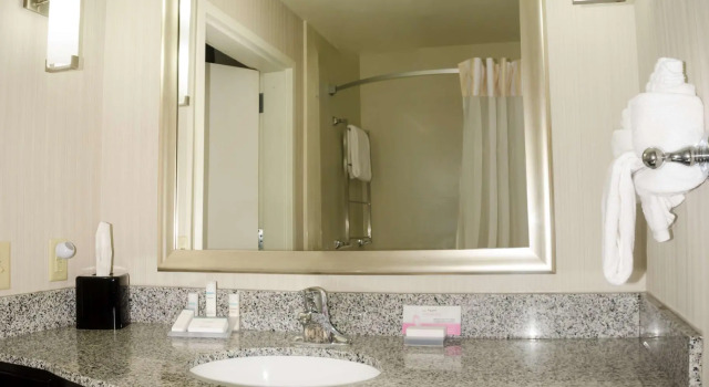 Четырёхместный номер Standard Hilton Garden Inn Benton Harbor