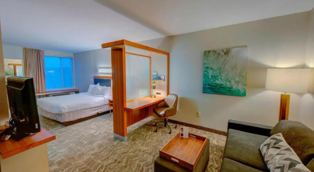 Двухместная студия SpringHill Suites by Marriott Macon