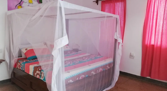 Четырёхместный номер Standard Vanilla B&B Nungwi Zanzibar